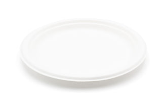 Pack Of 500 Bagasse Plate Biodegradable (254mm/10")